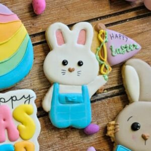 Bunny with blue clothes